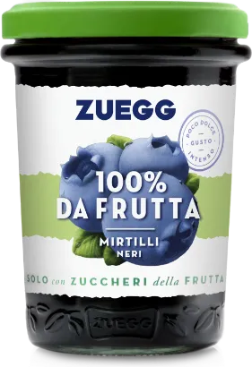 100% from Fruit – Blueberries